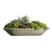 Barca Planter filled with plants against white background.