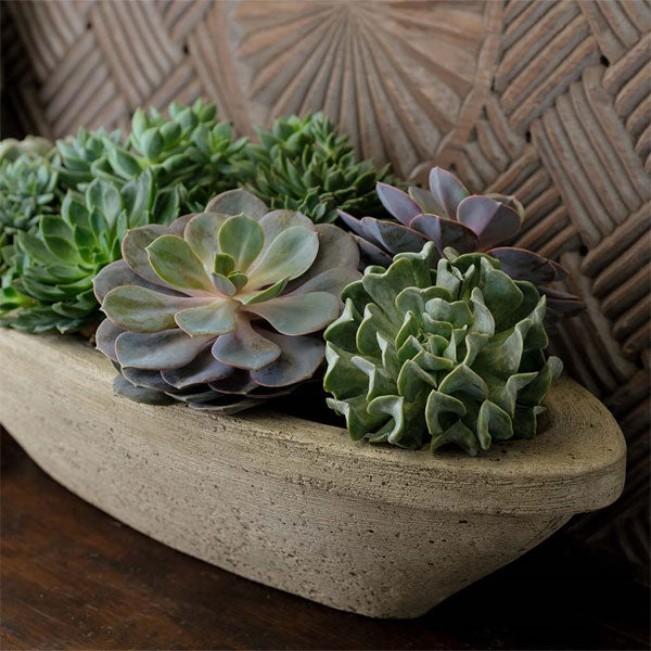Barca Planter, Small filled with plants sideview