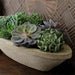 Barca Planter, Small filled with plants sideview