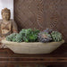 Barca Planter, Small on table filled with plants