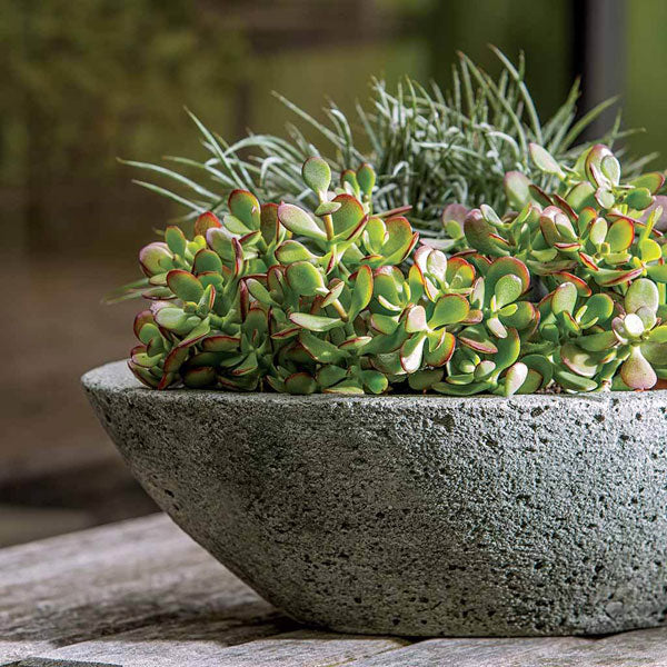 Celine Planter on table filled with plants upclose