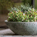 Celine Planter on table filled with plants upclose