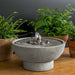 St. Helena Fountain near green plants against gray backdrop