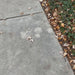 FT-102 Girona Fountain Small cover