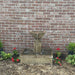 Campania International rittenhouse fountain against red brick wall running
