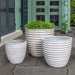 Linea Planter Pearl S/3 filled with plans in the backyard