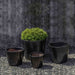 Portale Planter - Cola - S/4 on gravel filled with plants
